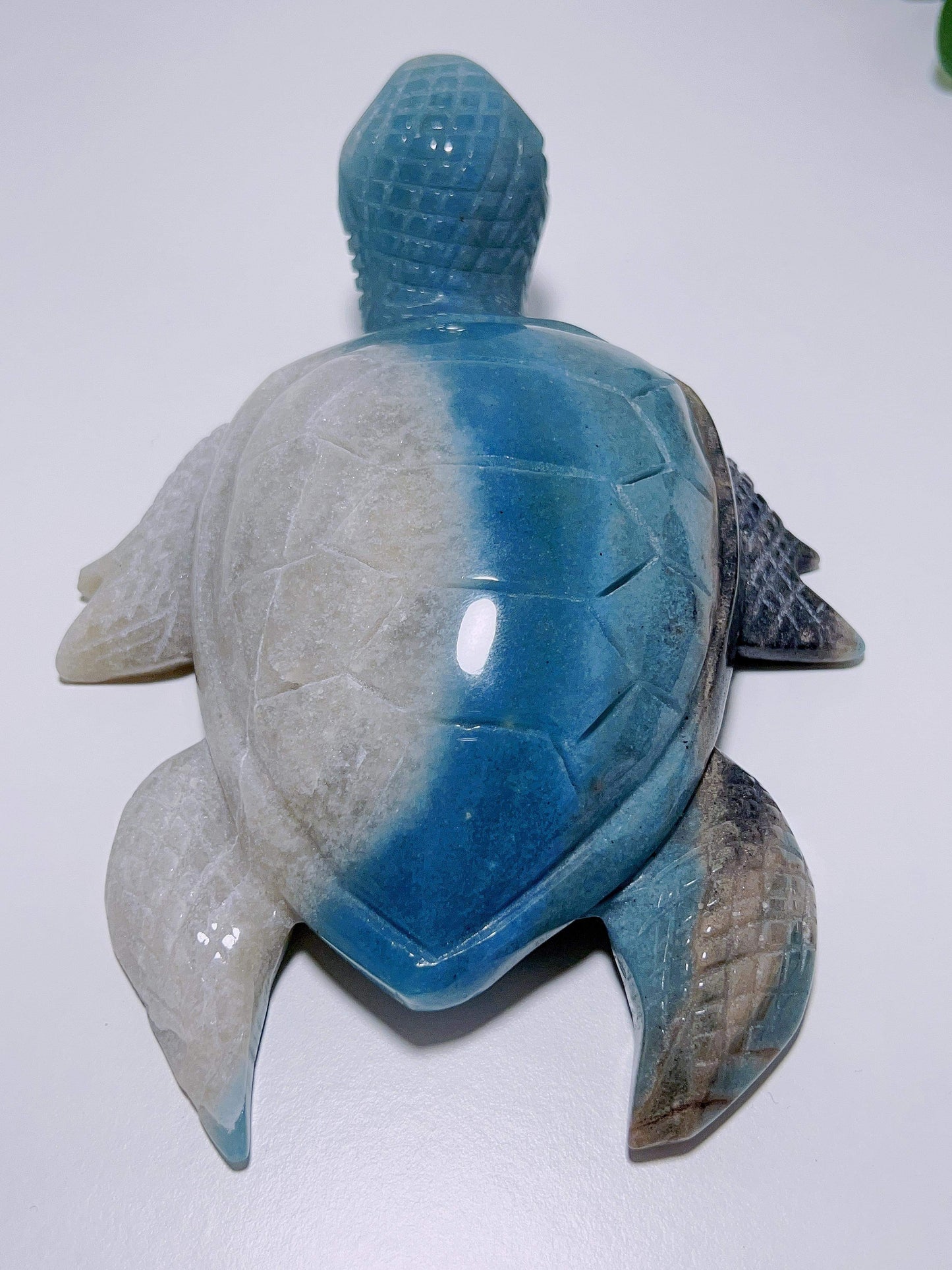 Trolleite Turtle 750G