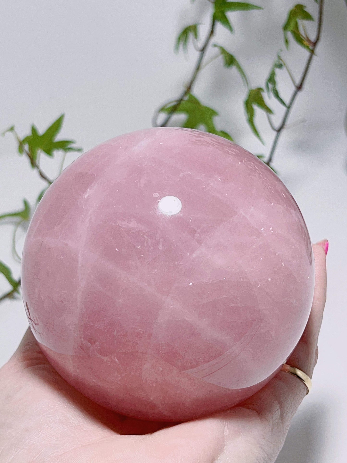 Rose Quartz Sphere 1239G