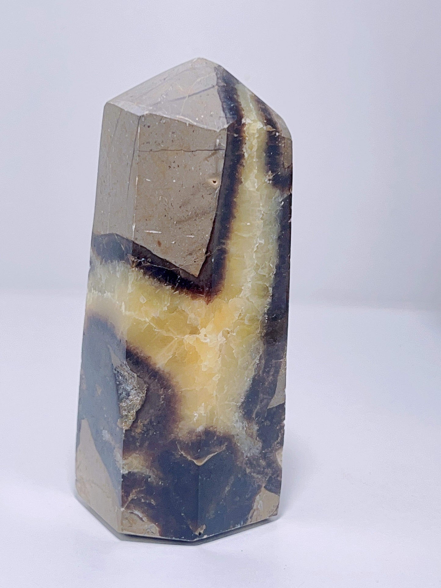 Septarian Point 246G