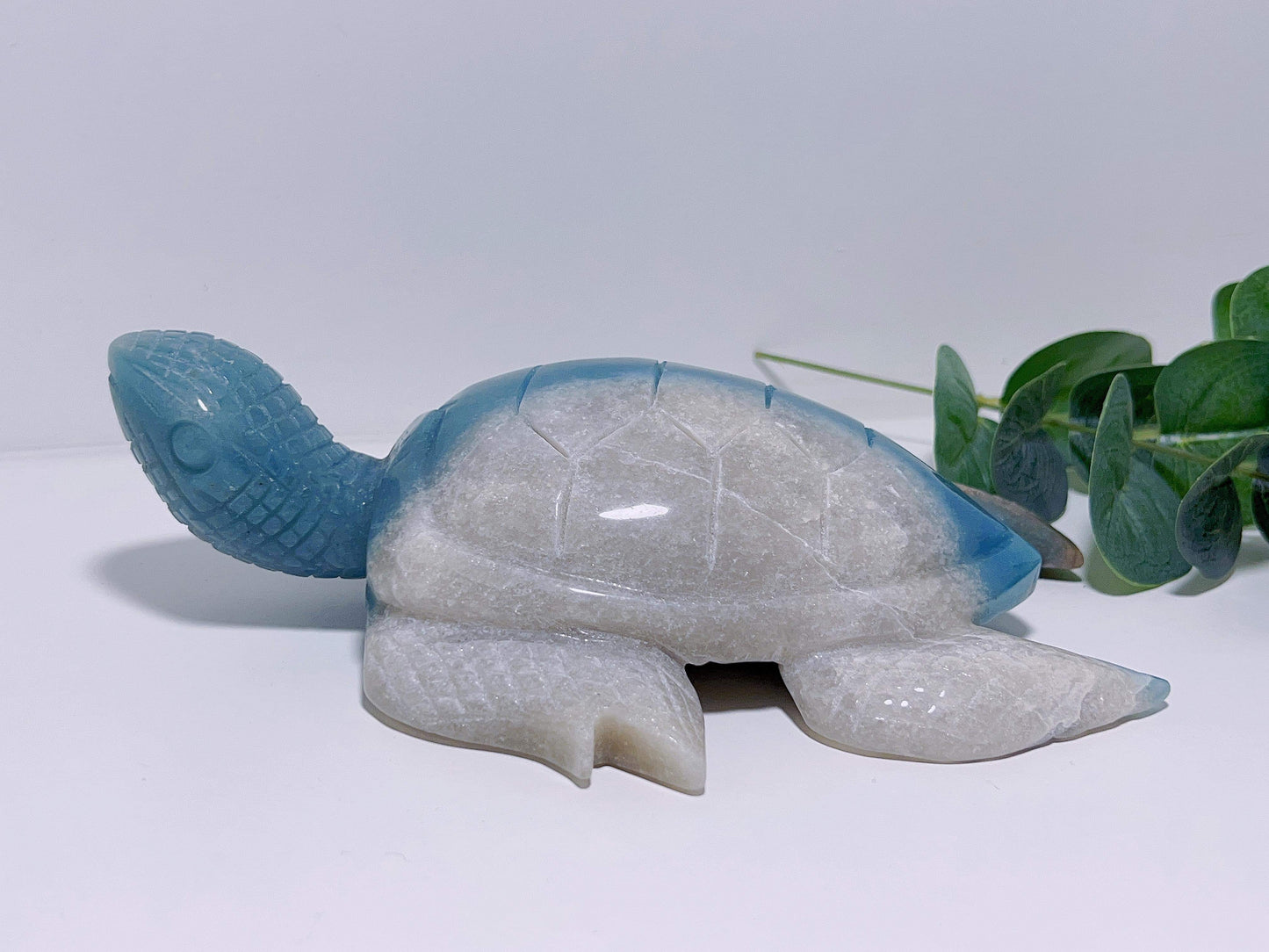 Trolleite Turtle 750G