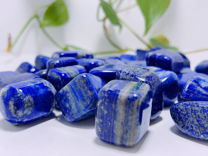 Lapis Lazuli Tumble