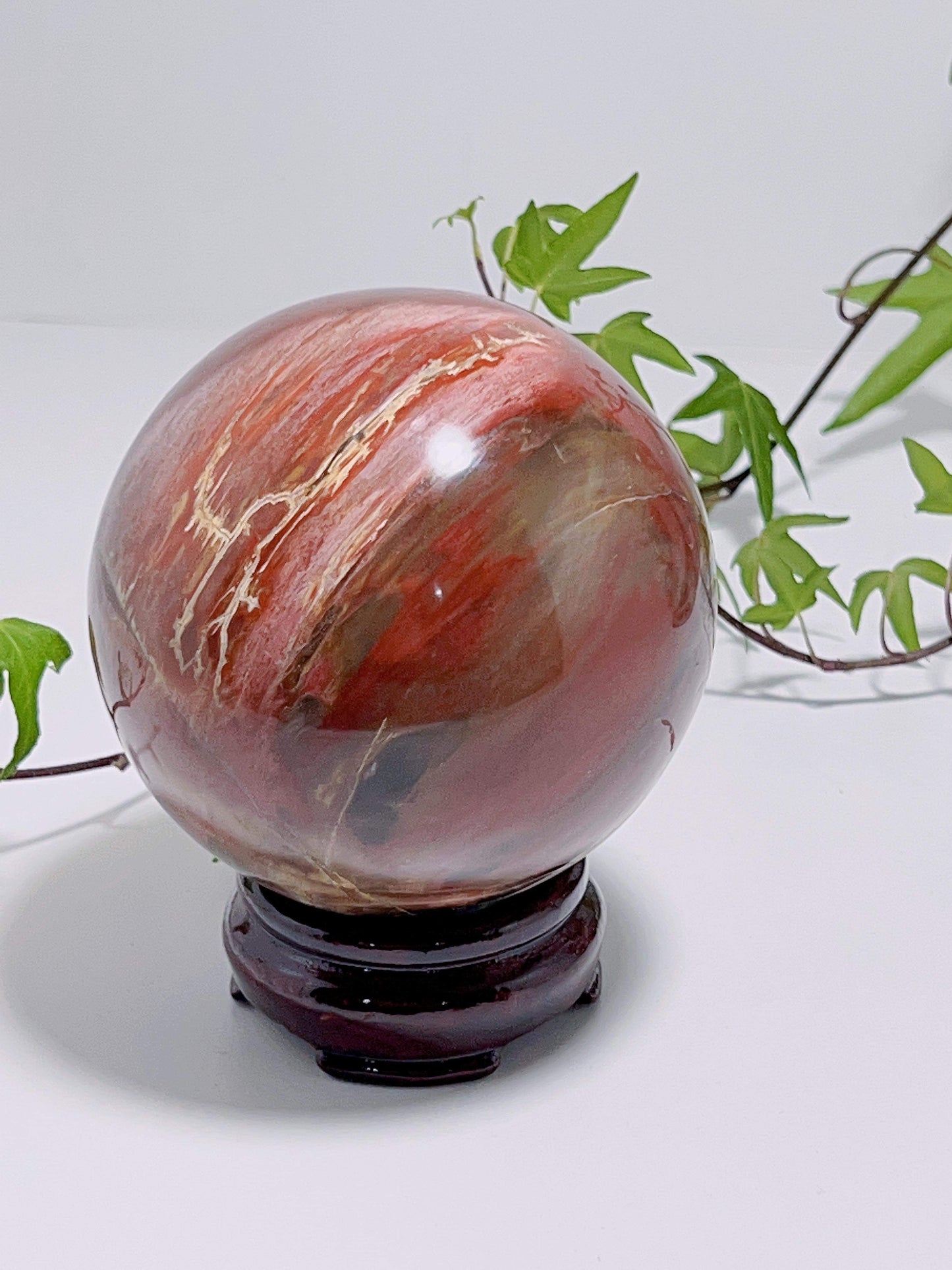 Petrified Wood Sphere 898G