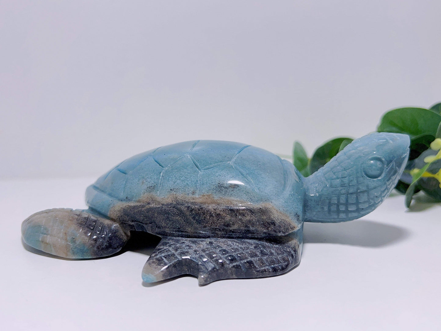 Trolleite Turtle 750G