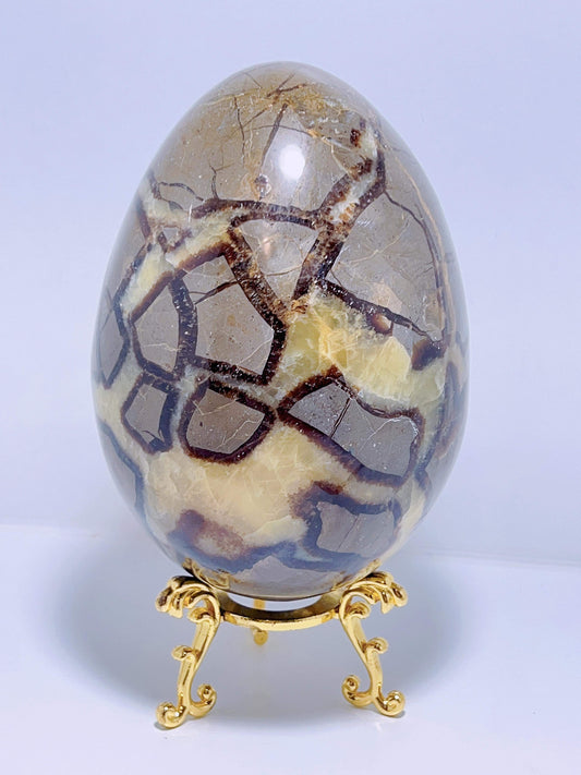 Septarian Egg 2023G